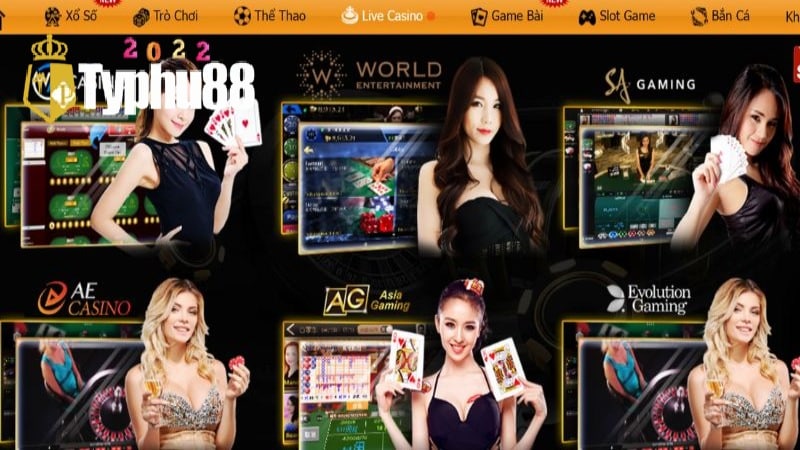 Các thông tin chi tiết về Casino Typhu88